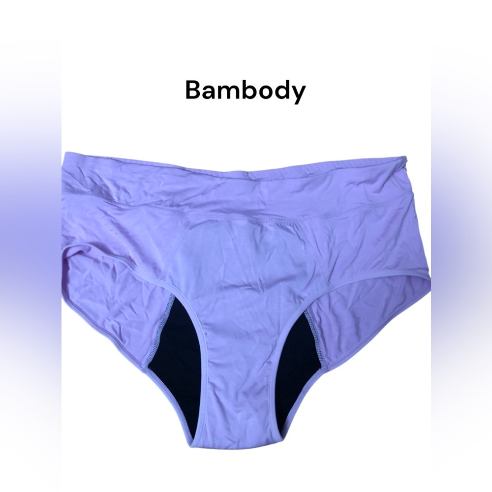 COPY - Bambody Period Panty Plus Size 11 Pink